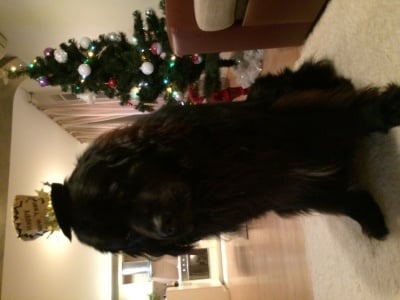 Щастлива Нова Година!