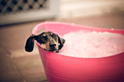 Неделен релакс