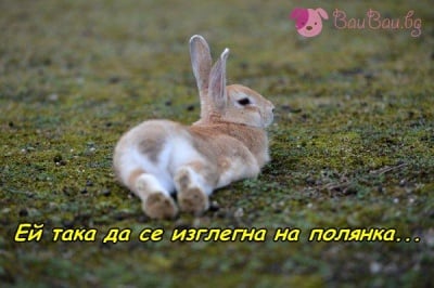 Имам си една мечта ...