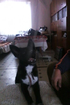 моята сладка Анджи