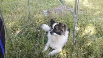 Моят любим приятел