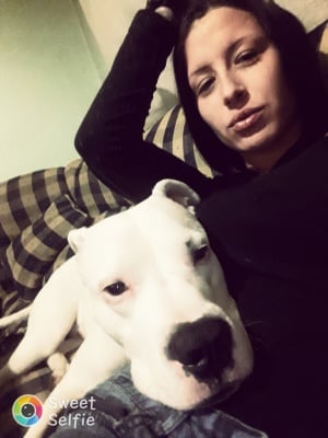 Дого Аржентино