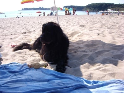 Бари за първи път на море