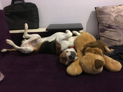 Рико КАБУУУМ !!! 