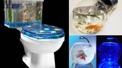 Необичайни и креативни аквариуми за рибки