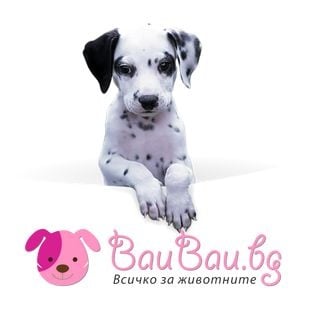 Лошото отношение към животните е показателно за студените хора