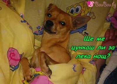 "Искам целувка!"