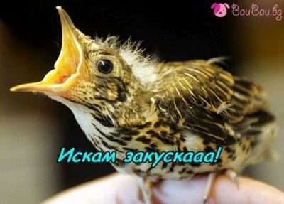 Какво чува мама за добро утро?