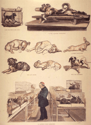 Развитие на физиологията до XIX век