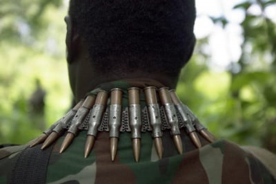 Продължава избиването на диви животни от бракониери и военни формирования в Африка