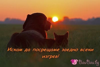 Вълшебно утро