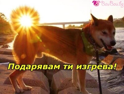 Сноп от слънчеви лъчи