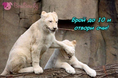 Изненада-а-а!