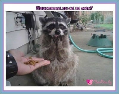 Да направиш добро