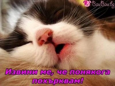 "Похъкрвам от кеф!"