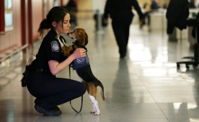 Жена прегръща куче