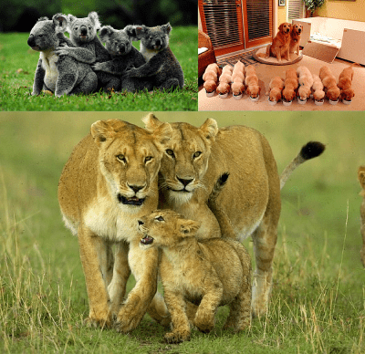 Семейство - топлина и уют