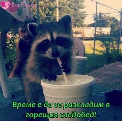 Време е за разхлада