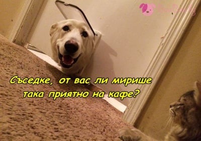 Кафе по съседски