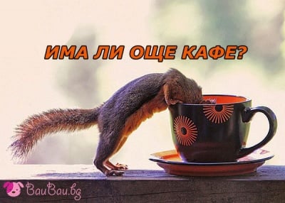 "Тази сутрин не ми стигна кафето!"