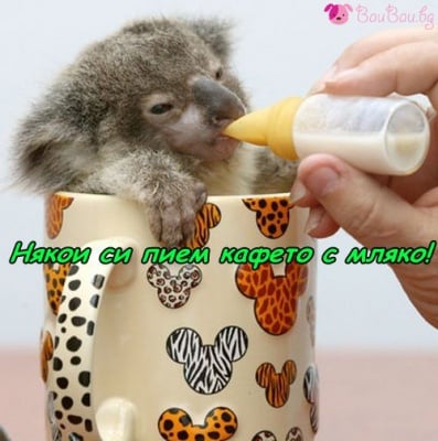 Кафе с мляко