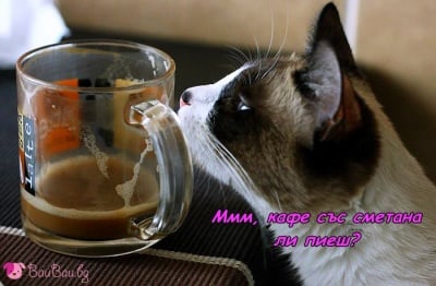 Кафе със сметана