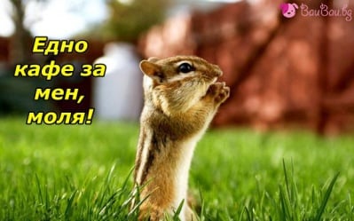 Кой чака за кафе?