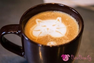 Кафенце, което те кара да мъркаш от кеф