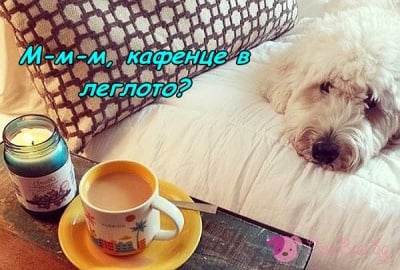 Кафенце в леглото