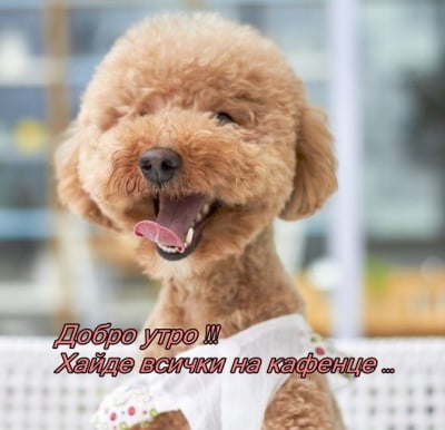 Да започнеш седмицата с усмивка