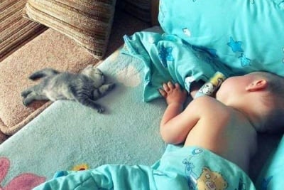 Как да ги събуди човек ...