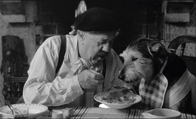 Кучетата могат да ни научат да живеем по - дълго