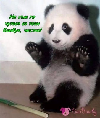 Как да му се разсърди човек?