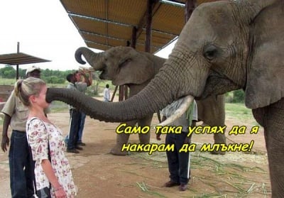 Как да накарате жена си да замълчи?