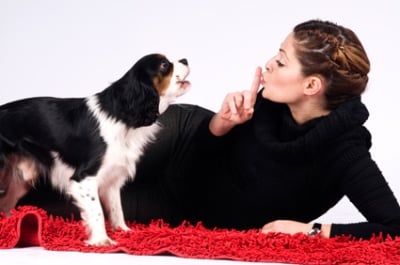 Обучение на кучето: Урок №12. Научете кучето да лае по команда и да лае тихо