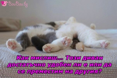 Разговор преди сън