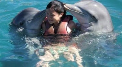 Как общуват делфините