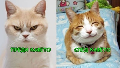 Така съм рано сутрин!