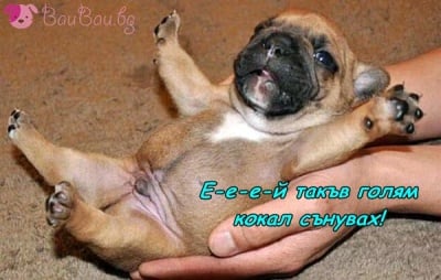 Как спа, бебчо?