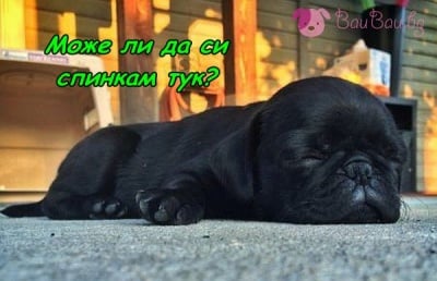 Както си играл, така заспал ...