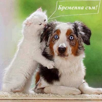 Каква новина само!