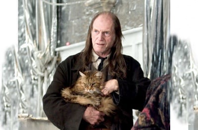 Каква порода е котката от Хари Потър