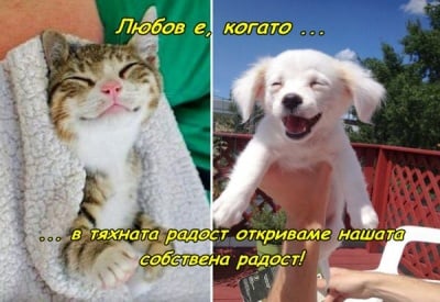 Какво е любовта?