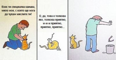 Какво ли си мисли котката ми?