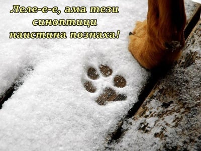 Бр-р-р-р-р, студено!