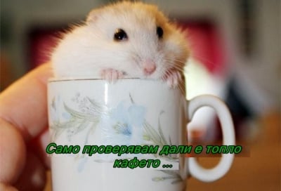 Едно късо кафе, моля!
