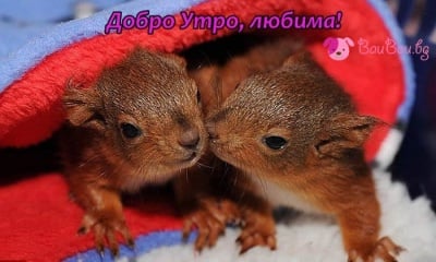 Романтично утро