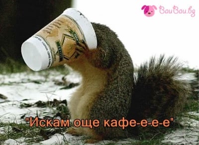 "Искам още кафе-е-е-е"