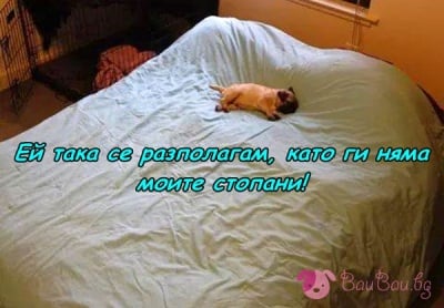 Да се чувстваш като принц