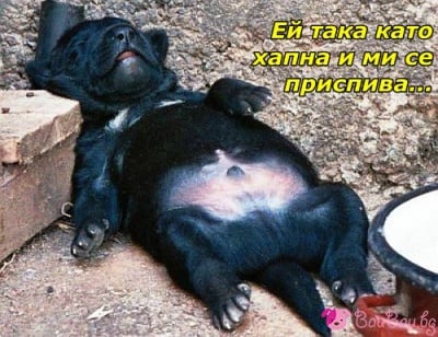 "Всяка вечер съм така"